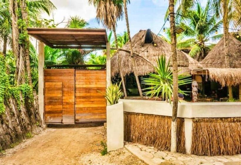 シングルデラックスルーム, Be Tulum