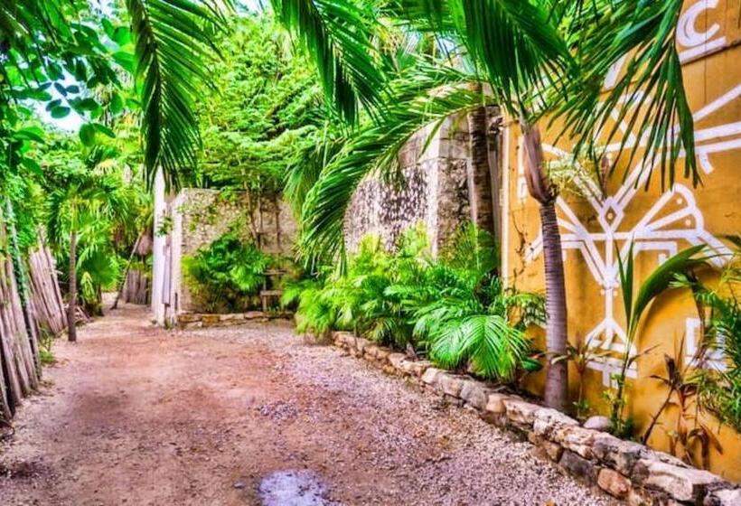 ビュー有りのスタンダードワンルーム, Be Tulum
