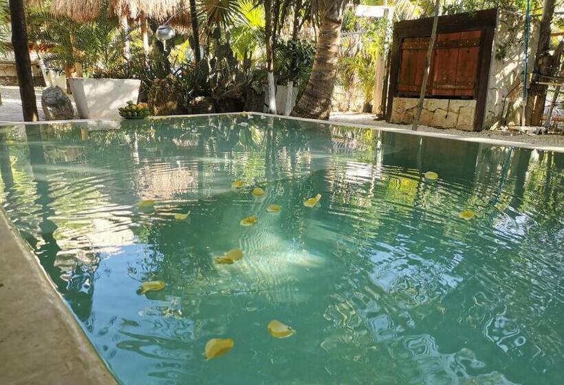キングサイズベッドのスタンダードルーム, Be Tulum