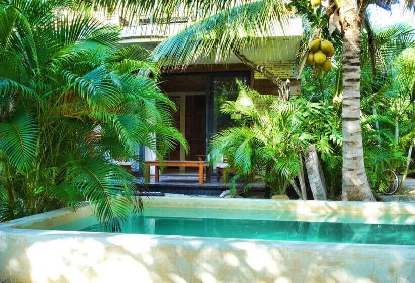 ビュー有りのスタンダードワンルーム, Be Tulum