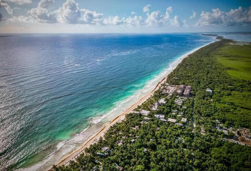 １ベッドルームハウス, Be Tulum