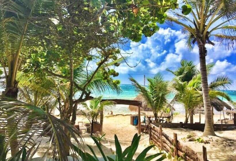 ４ベッドルームハウス, Be Tulum