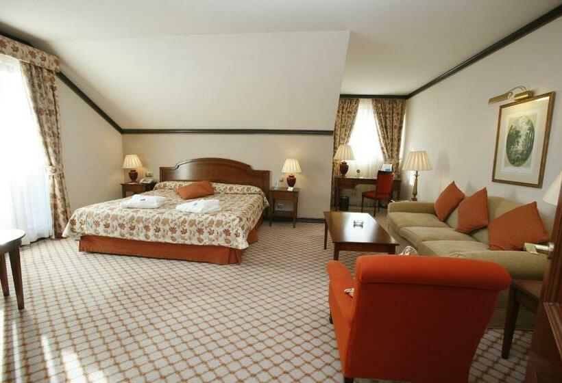 اتاق سوپریور, Gran Hotel Balneario De Puente Viesgo