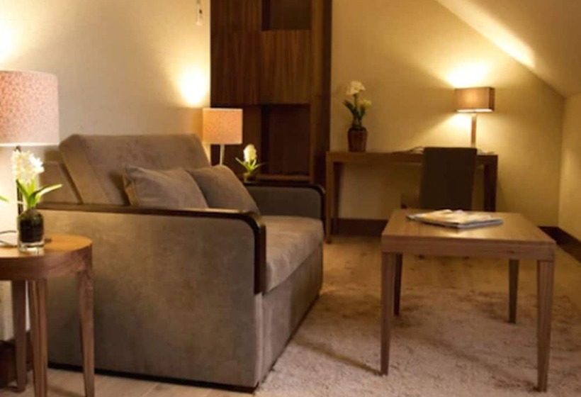 اتاق سوپریور, Gran Hotel Balneario De Puente Viesgo
