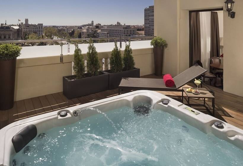 سوئیت پنت هاوس, Fenix Gran Meliá   The Leading Hotels Of The World