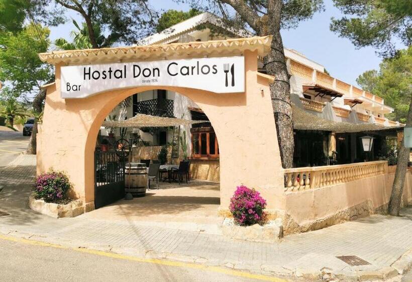 스탠다드 룸, Don Carlos