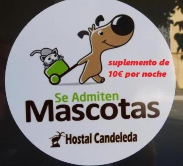 Quarto Estandar, Hostal Candeleda