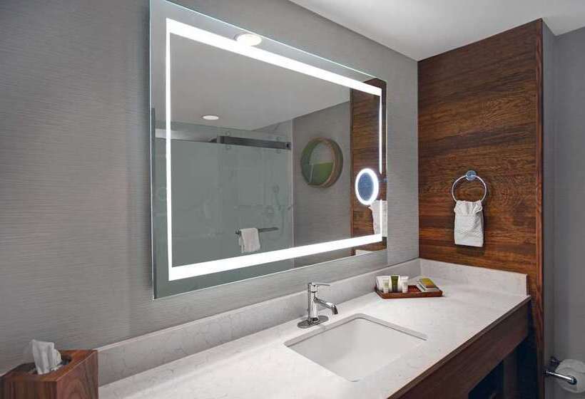 اتاق استاندارد با تخت بزرگ, Hilton Vienna Park