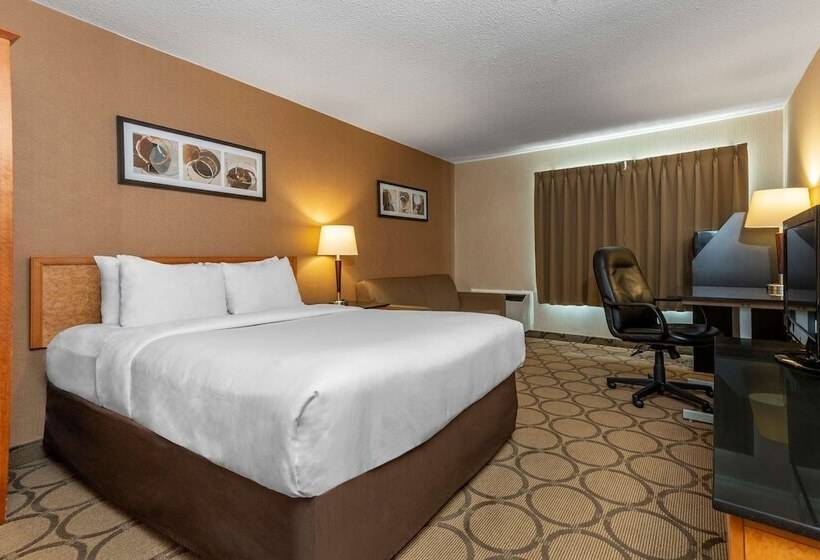 Номер Superior Нижний Этаж, Comfort Inn