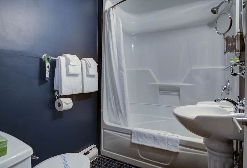 스탠다드 룸 더블 침대 2개, Riôtel Carleton Sur Mer
