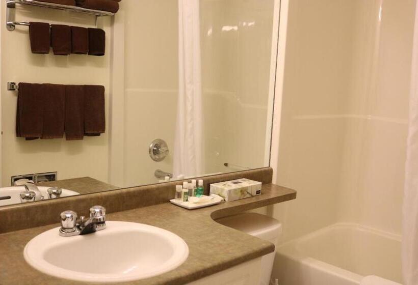 バルコニー付２ベッドルームアパートメント, Nomad Hotel & Suites