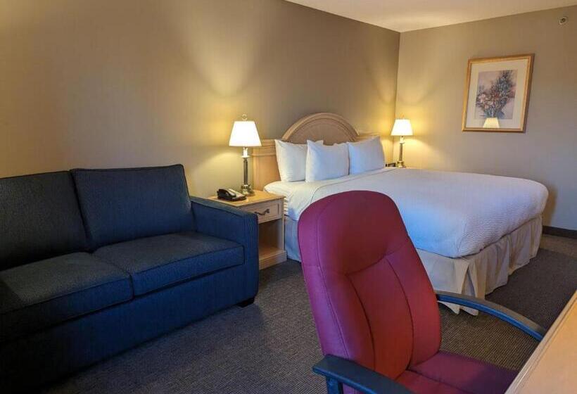 キングサイズベッドのスーペリアルーム, Nomad Hotel & Suites