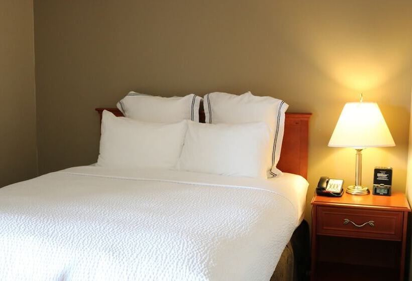 ハイドロマッサージバス付きスイート, Nomad Hotel & Suites