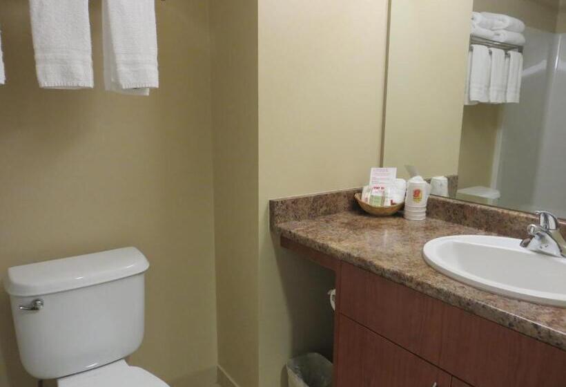 Номер Superior, Super 8 By Wyndham Abbotsford Bc