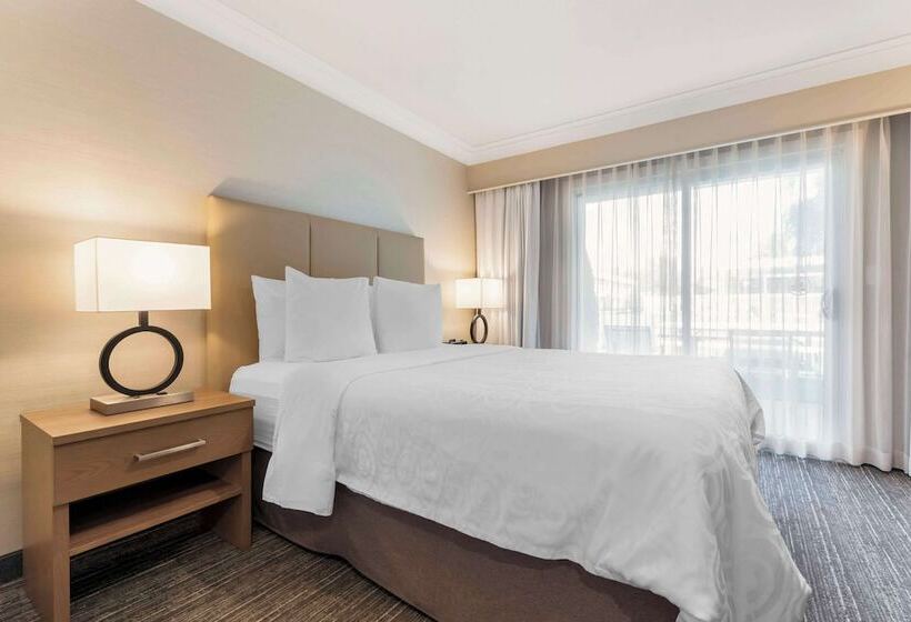 景色の見えるデラックスルーム, Best Western Plus Kelowna Hotel & Suites