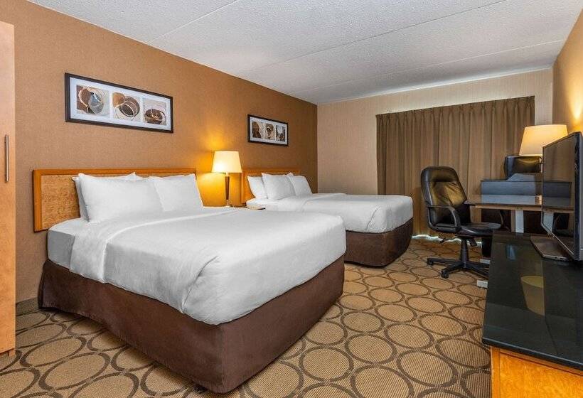 Стандартный Номер Нижний Этаж, Comfort Inn Gatineau