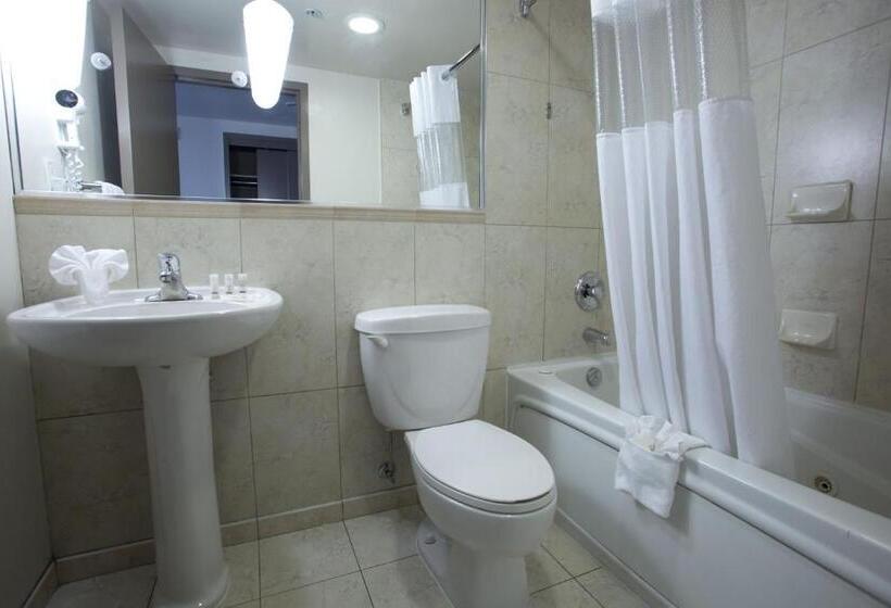 Deluxe Suite, The Falls Hotel & Inn