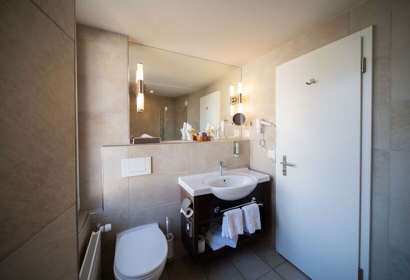 Номер Superior, Krebs Interlaken