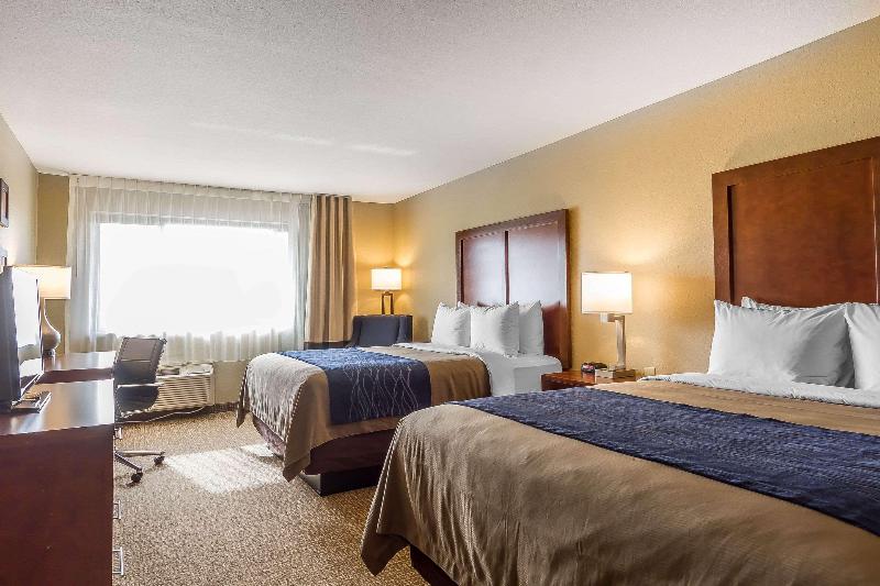 اتاق اجرایی با تخت بزرگ, Golden Tulip Shanghai Hongqiao   A Louvre