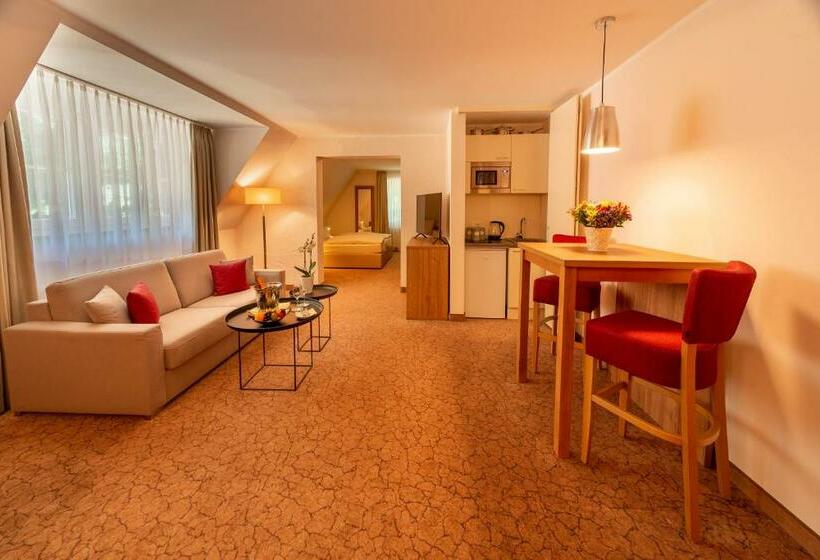 小型套房, Parkhotel Hohenfeld Münster