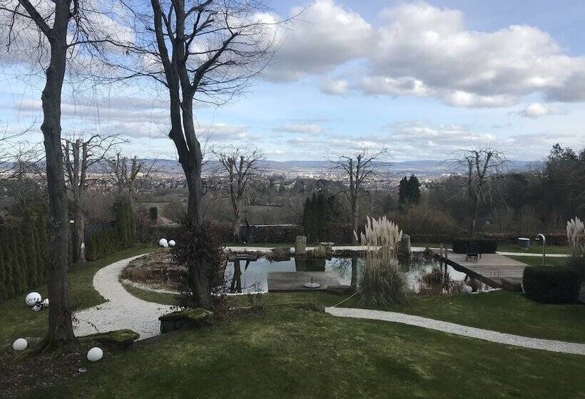 Номер Superior Одноместный, Schlosshotel Kassel