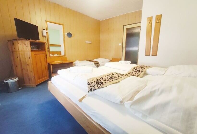 Трехместный Номер Комфорт, City Hotel Pforzheim