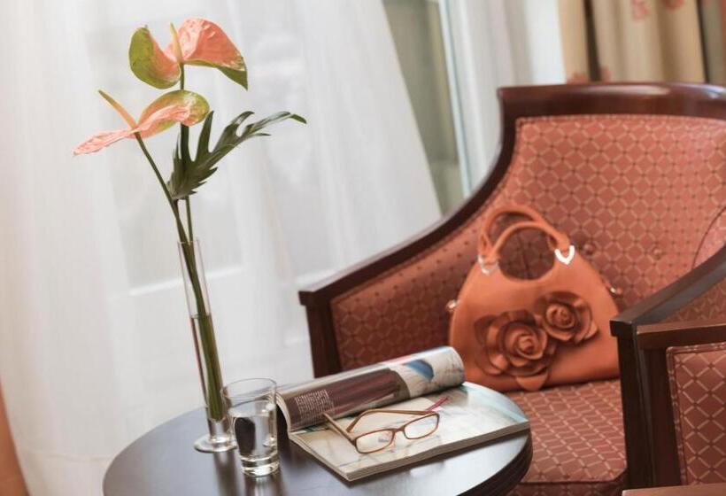 舒适型单人间, Parkhotel 1901 Mannheim