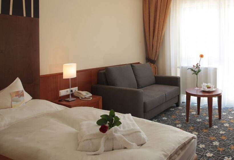 수피리어 싱글 룸, Ringhotel Bundschu