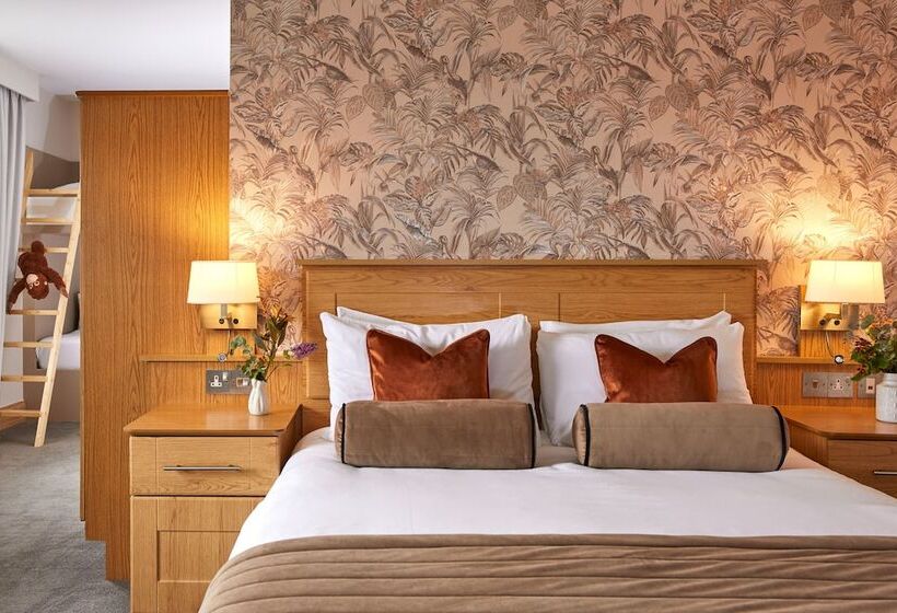Семейный Номер, County Arms  Birr