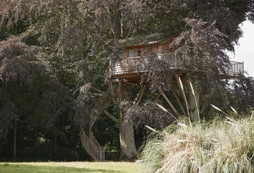 Хижина Deluxe, Chateau D'audrieu