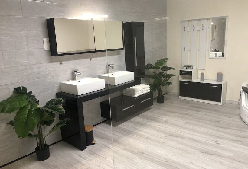 Апартаменты Deluxe 1 Спальня, Hôtel Saint Albert