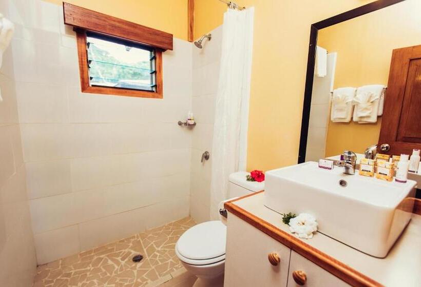 스탠다드 룸, Koro Sun Resort & Rainforest Spa