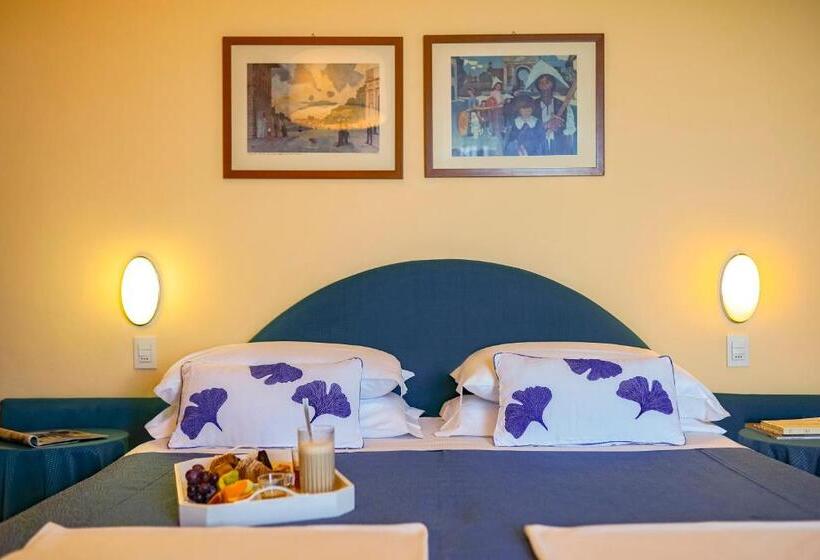 Номер Стандарт Индивидуальный, Unahotels Imperial Sport