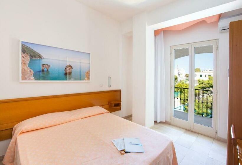Номер Стандарт, Mediterraneo