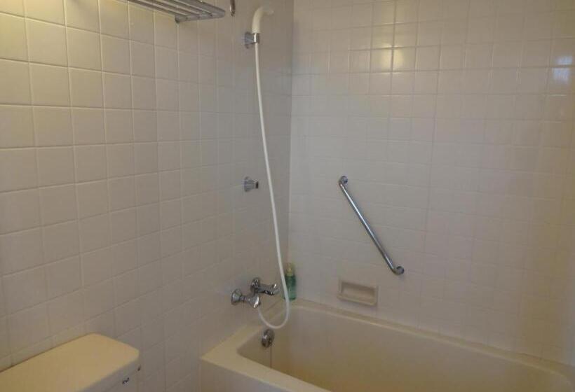 Номер Стандарт Трехместный, Minakami Kogen Hotel 200