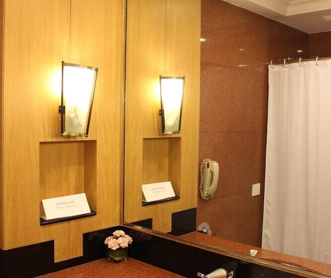 行政房间, The Hans, New Delhi