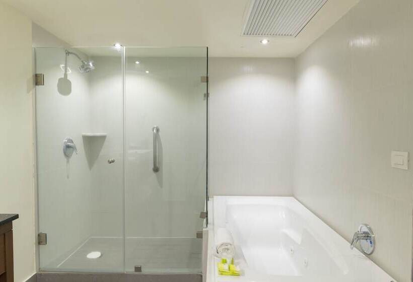 Люкс Вид на Город, Holiday Inn Guadalajara Expo Plaza Del Sol, An Ihg