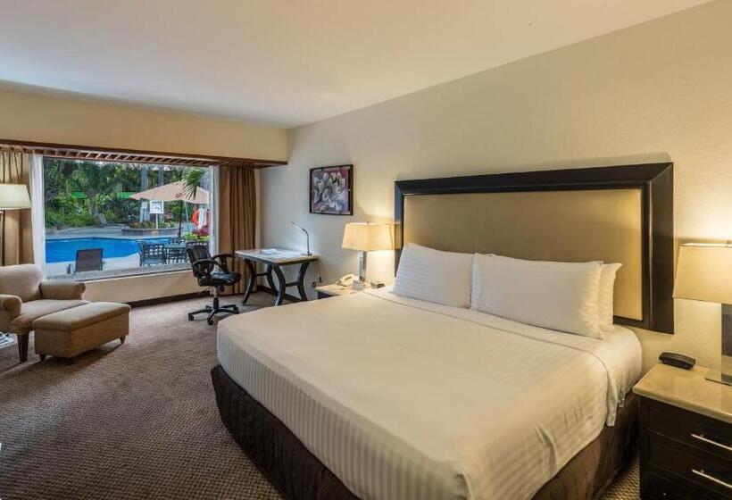 Номер Стандарт Вид на Сад, Holiday Inn Guadalajara Expo Plaza Del Sol, An Ihg