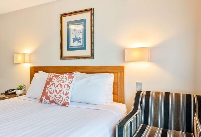 Apartamento 1 Dormitório, Best Western Newmarket Inn & Suites