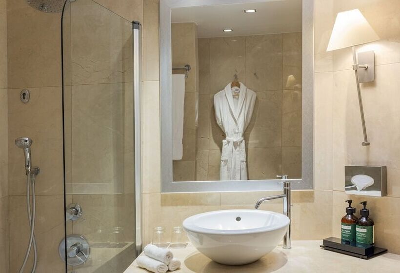 스탠다드 룸, Crowne Plaza Porto, An Ihg