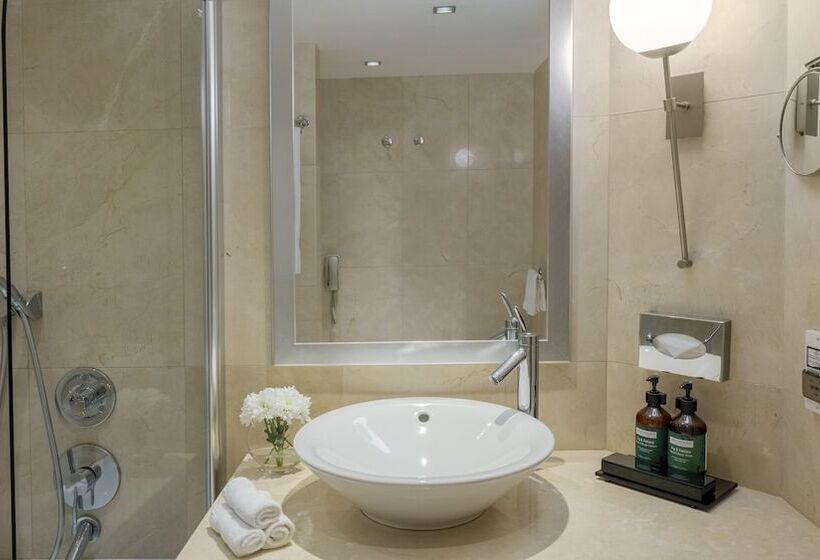 스탠다드 도시전망 룸, Crowne Plaza Porto, An Ihg