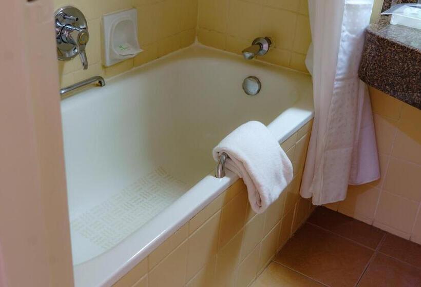 اتاق استاندارد با تخت بزرگ, Holiday Inn   Harare, An Ihg