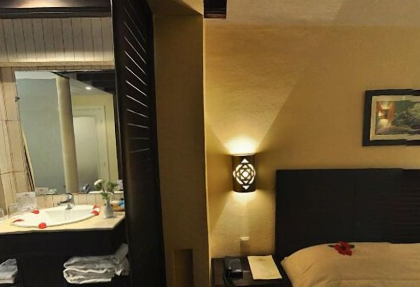 标准间, Paradis Palace