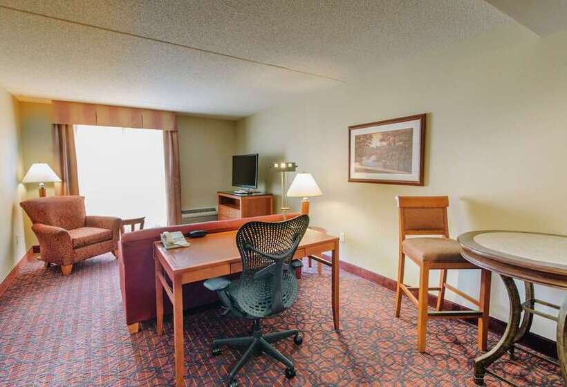 Quarto Estandar Cama King, Hilton Atlanta Airport