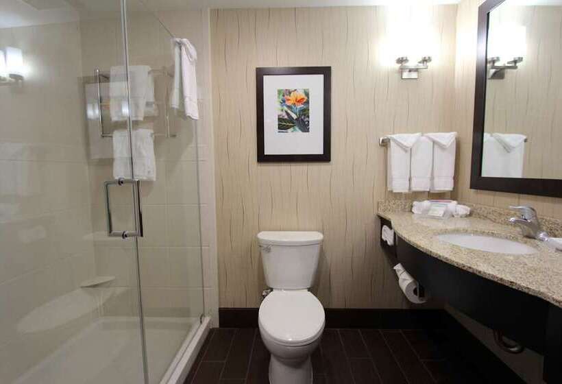 Quarto Estandar Cama King, Hilton Atlanta Airport