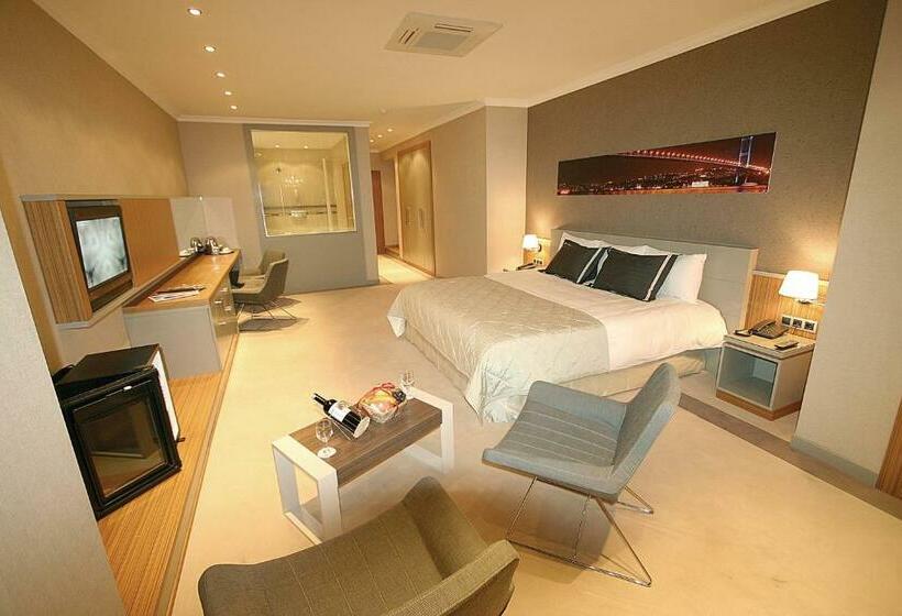 اتاق اجرایی, Klas Hotel Istanbul Old City