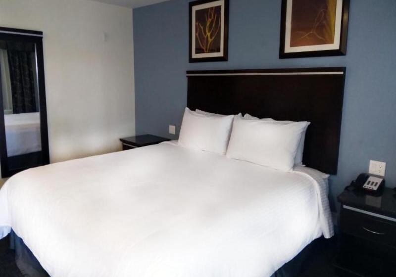 스탠다드 룸 킹사이즈 침대, Surestay Hotel By Best Western Chula Vista San Diego Bay