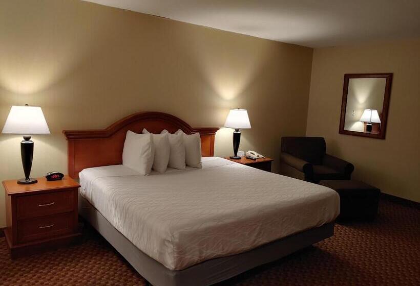 اتاق لوکس با تخت بزرگ, Surestay Plus Hotel By Best Western Reno Airport