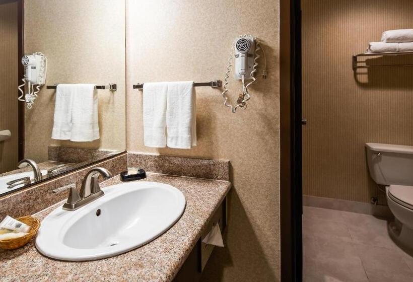 اتاق استاندارد, Surestay Plus Hotel By Best Western Reno Airport