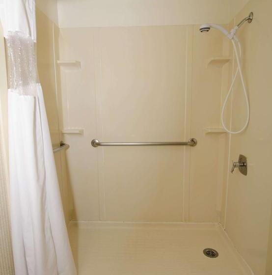 اتاق استاندارد با تخت بزرگ برای معلولان, Surestay Plus Hotel By Best Western Reno Airport